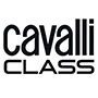 Cavalli class/Cavalli class图片