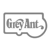 Grey Ant/灰蚂蚁图片